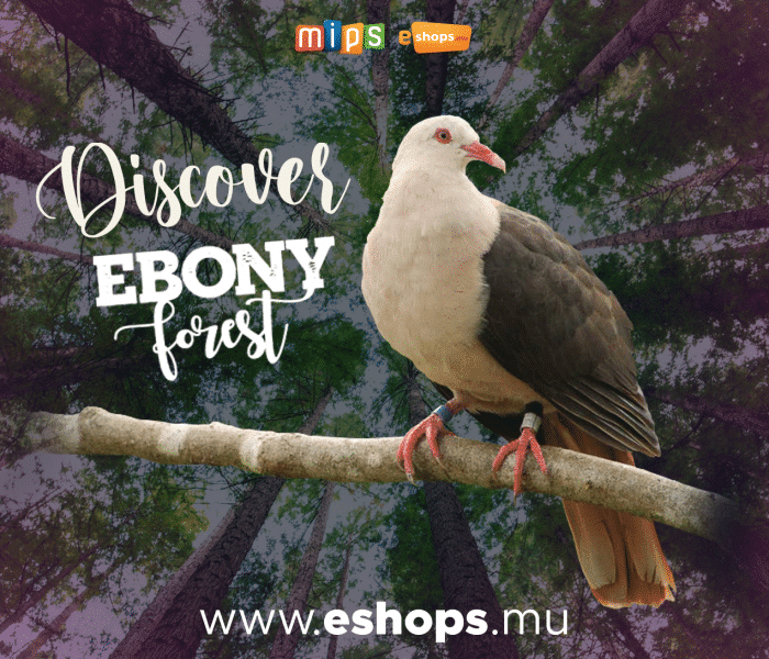 Ebony Forest