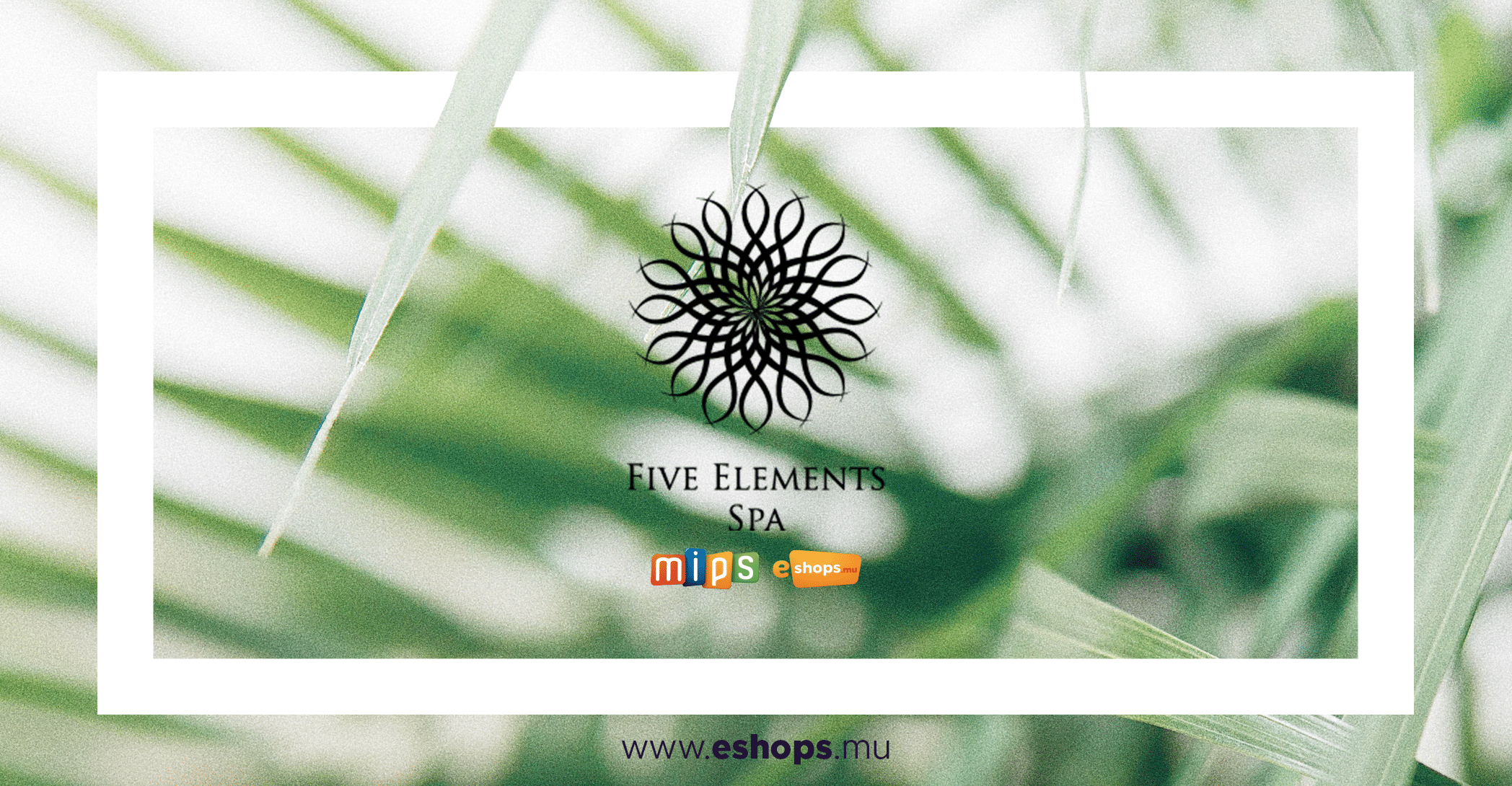 Five Elements Spa