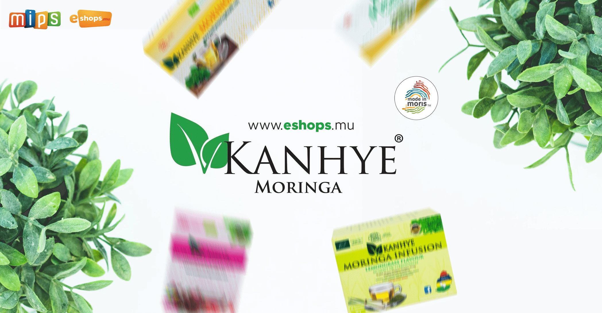 Vkanhye Moringa